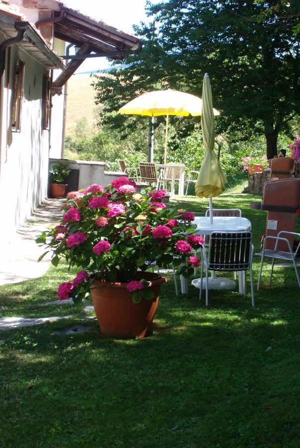 Agriturismo La Guinza Arcidosso Exterior foto