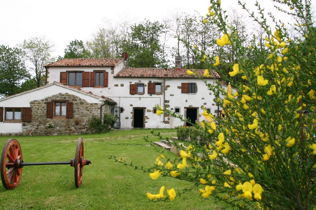 Agriturismo La Guinza Arcidosso Exterior foto